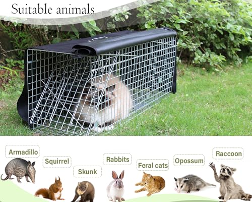Live Animal Trap Cage with Cover, 32 Inch Heavy Duty Folding Trap for Raccoons, Opossums, Groundhogs, Feral Cats A171