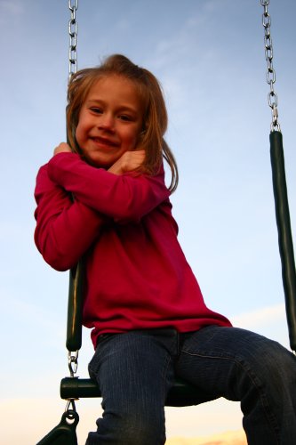 Heavy Duty A-Frame Metal Swing Set B978828