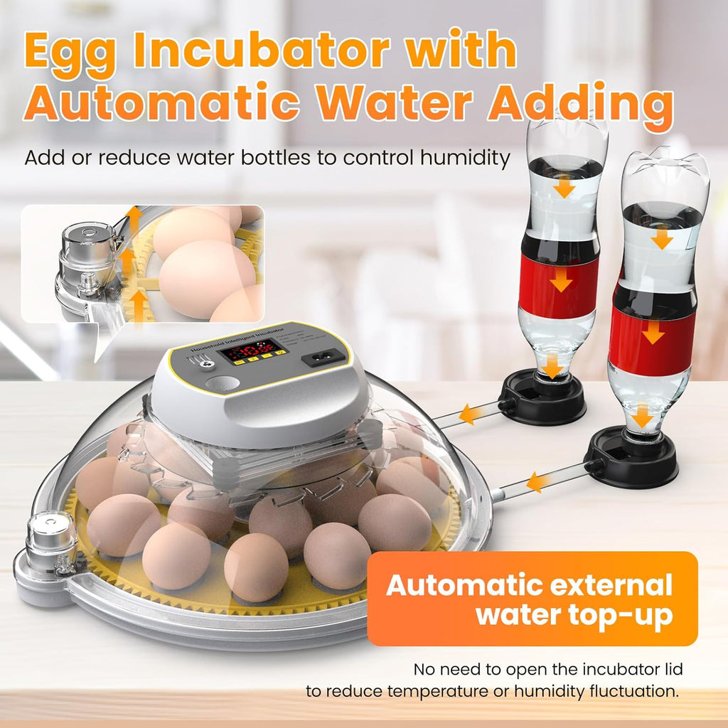 Egg Incubator with Automatic Turning and Water Adding, 18-60 Eggs C20210