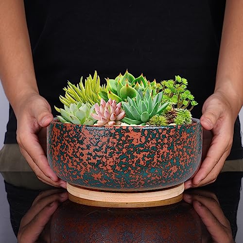 Terracotta Planter with Drainage Hole and Bamboo Saucer E8585