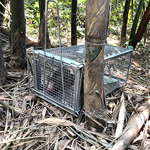 Humane Chipmunk Trap Cage N66696