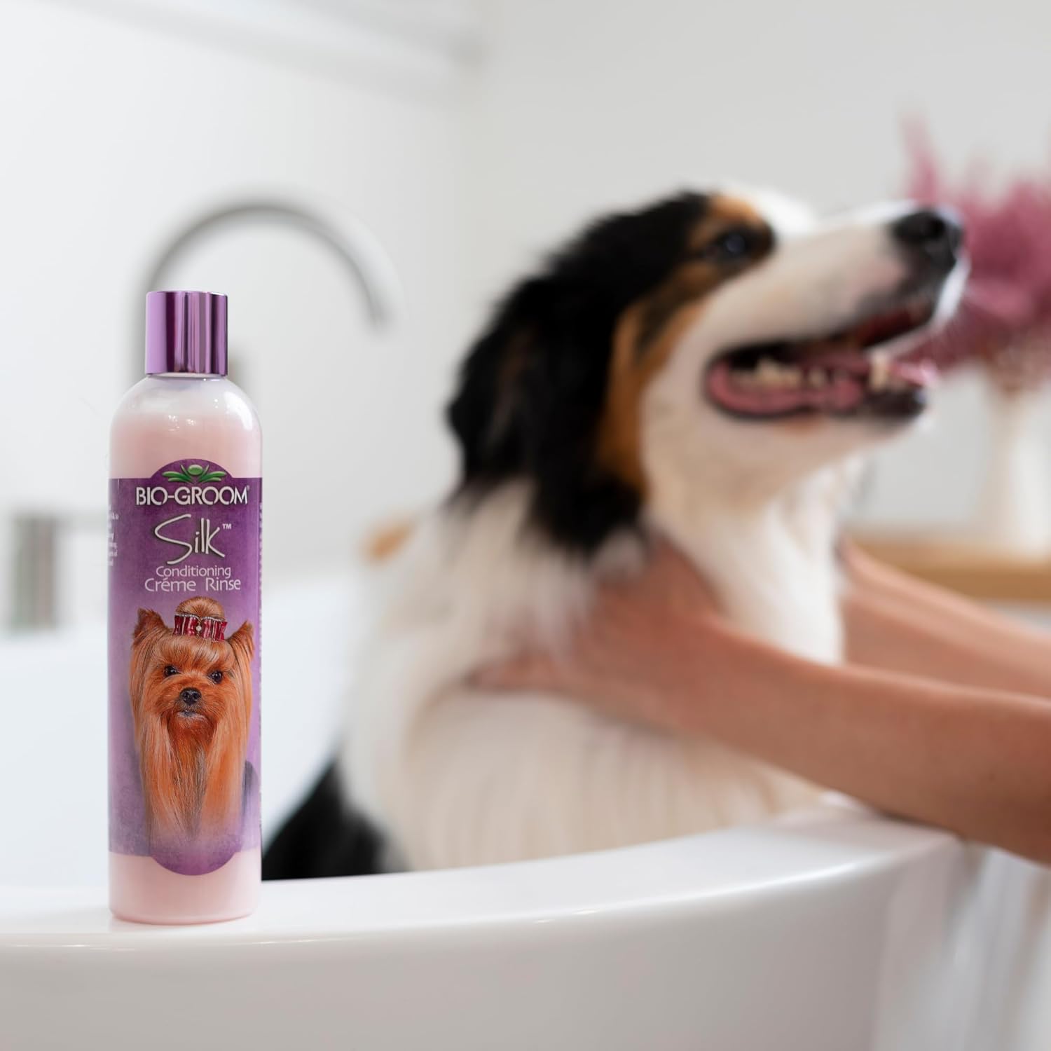 White Shampoo and Silk Creme Rinse Conditioner for Dogs and Cats, Sensitive Skin, 12 Fl Oz S517