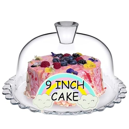 Glass Cake Stand with Dome, 10 Inch Serving Platter E2997