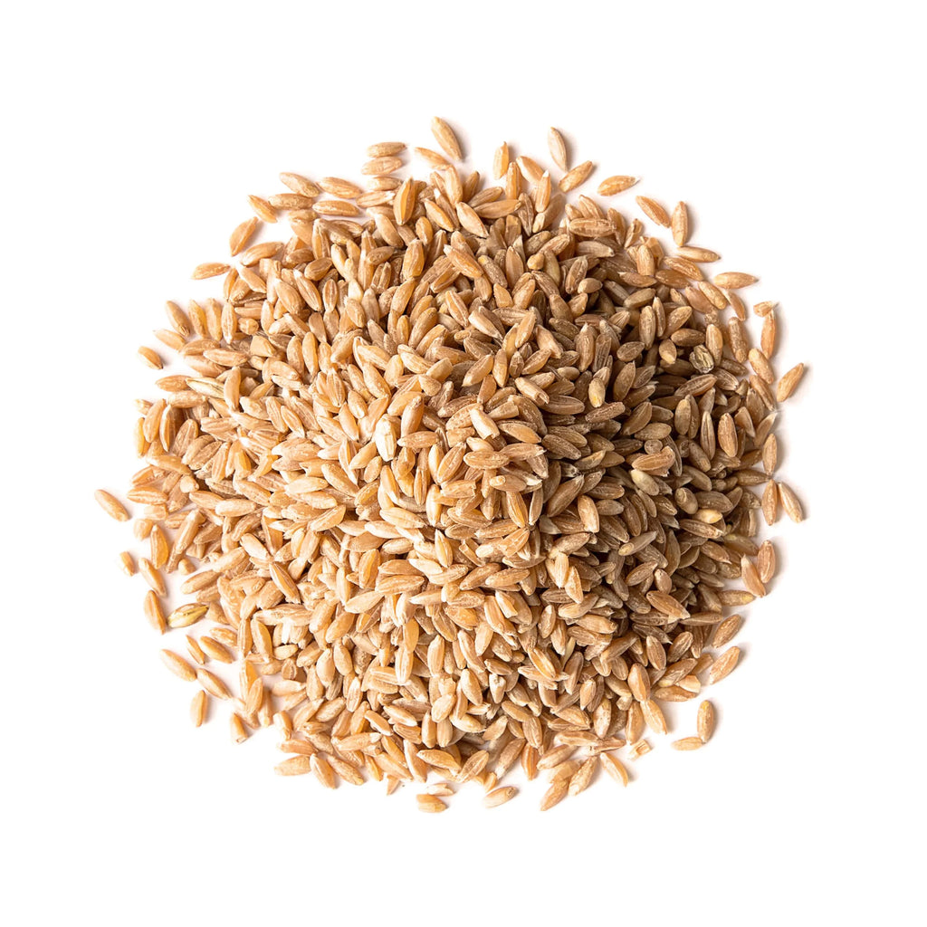 Spelt Berries, 10 Pounds – Rich in Fiber, Protein, and Iron X731