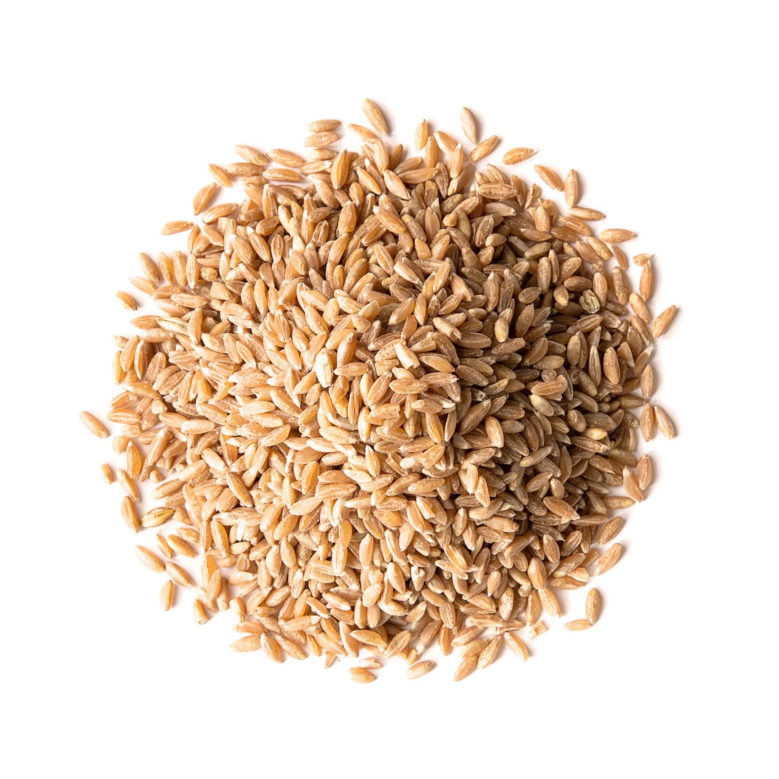 Spelt Berries, 10 Pounds – Rich in Fiber, Protein, and Iron X731