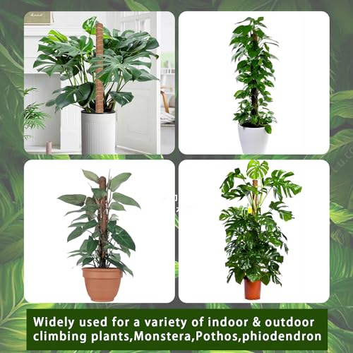 Moss Pole 2 Pack 17 Inch Plant Support for Climbing Indoor Potted Plants E893