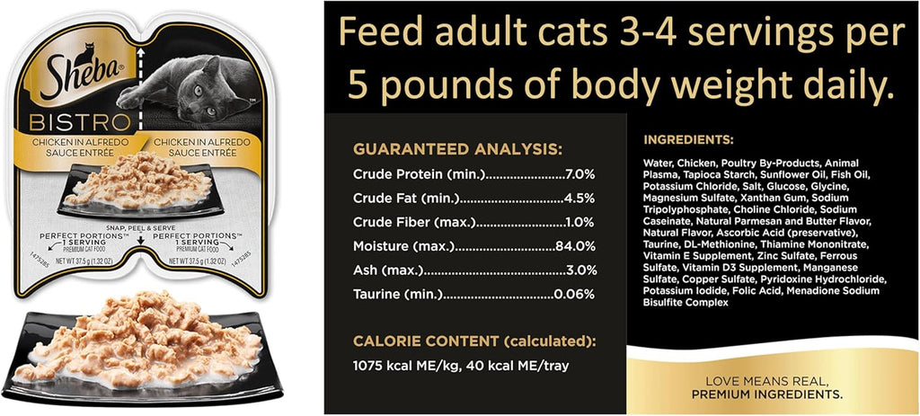 Wet Cat Food Variety Pack with Salmon and Chicken, 8 Trays O164235