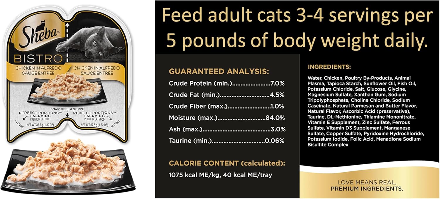 Wet Cat Food Variety Pack with Salmon and Chicken, 8 Trays O164235