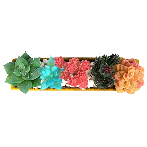 10 Inch Ceramic Succulent Pot with Drainage and Tray J374196