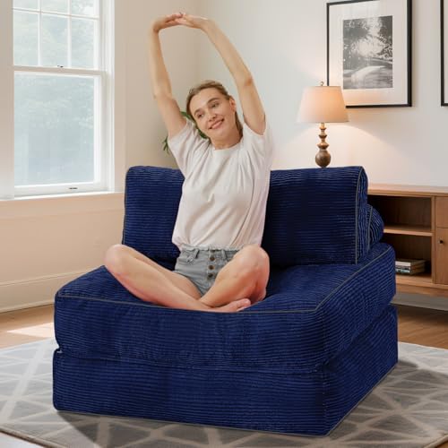 Folding Sofa Bed with Dual Pillow and Handle, Convertible Sleeper Chair, Black M821