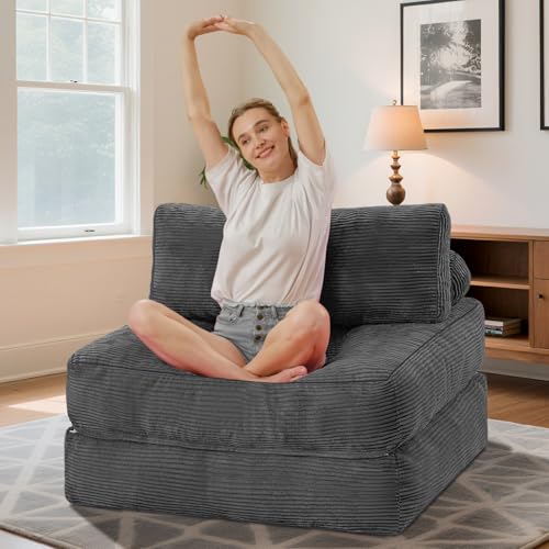 Folding Sofa Bed with Dual Pillow and Handle, Convertible Sleeper Chair, Black M821