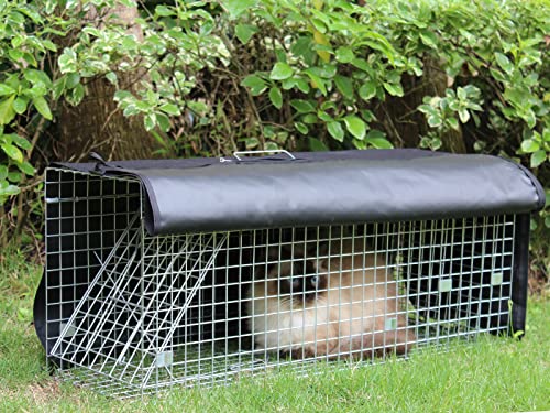 Live Animal Trap Cage with Cover, 32 Inch Heavy Duty Folding Trap for Raccoons, Opossums, Groundhogs, Feral Cats A171