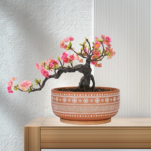 Terracotta Succulent Planter Pot with Drainage Hole and Bamboo Tray V7688