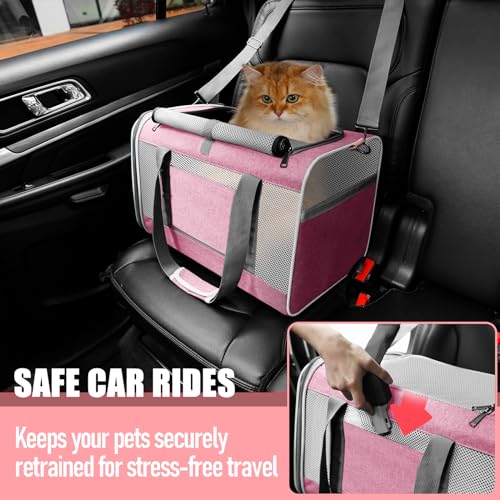 Soft Sided Pet Carrier for Large Cats and Small Dogs R89313