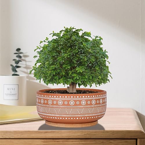 Terracotta Succulent Planter Pot with Drainage Hole and Bamboo Tray V7688
