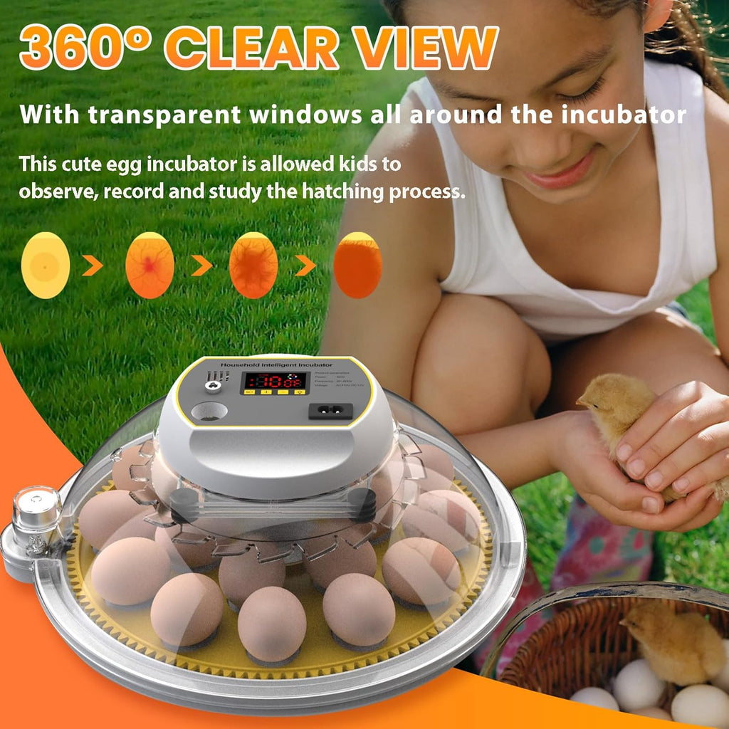 Egg Incubator with Automatic Turning and Water Adding, 18-60 Eggs C20210