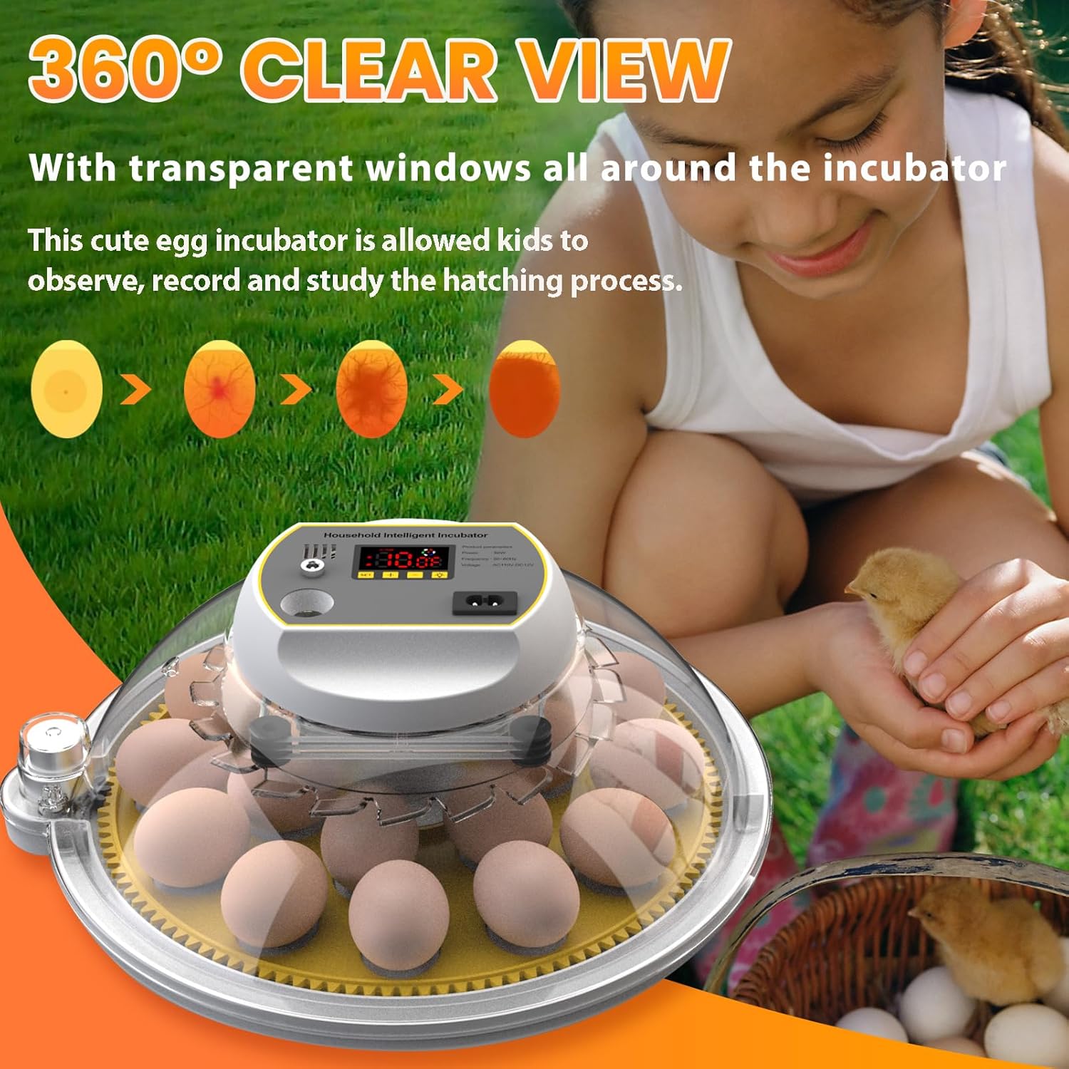 Egg Incubator with Automatic Turning and Water Adding, 18-60 Eggs C20210
