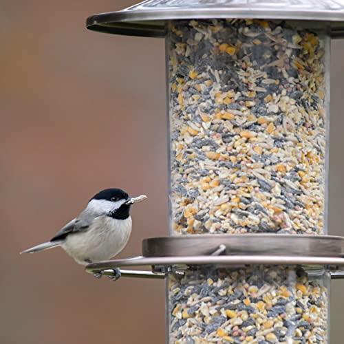 Copper Panorama Bird Feeder, 1 Tier J5683