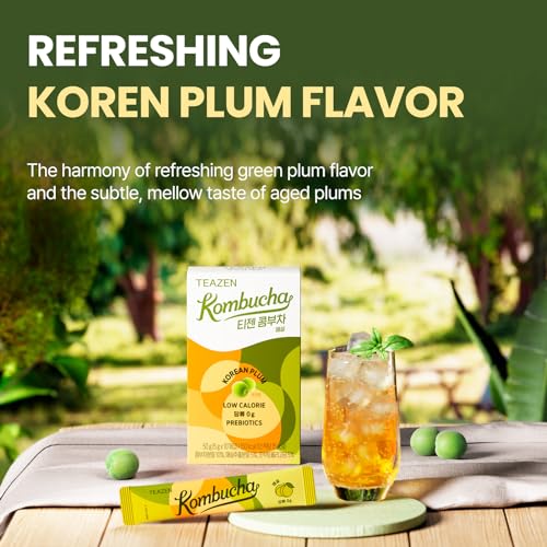 Kombucha Tea, Zero Sugar, Sparkling Powdered Mix, Berry I434