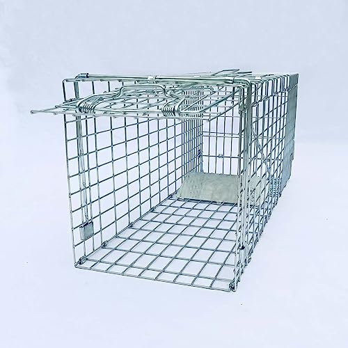 Collapsible 2-Door Live Animal Cage Trap for Small Rodents, Rabbits, Squirrels, and Raccoons J3445