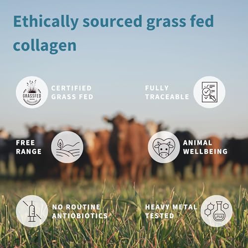 Hydrolyzed Bovine Collagen Peptides Powder, Types 1, 2 & 3, Non-GMO, Gluten & Dairy Free V973