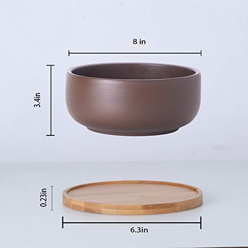 Terracotta Succulent Planter with Bamboo Tray, 8 Inch, Drainage Hole E726431